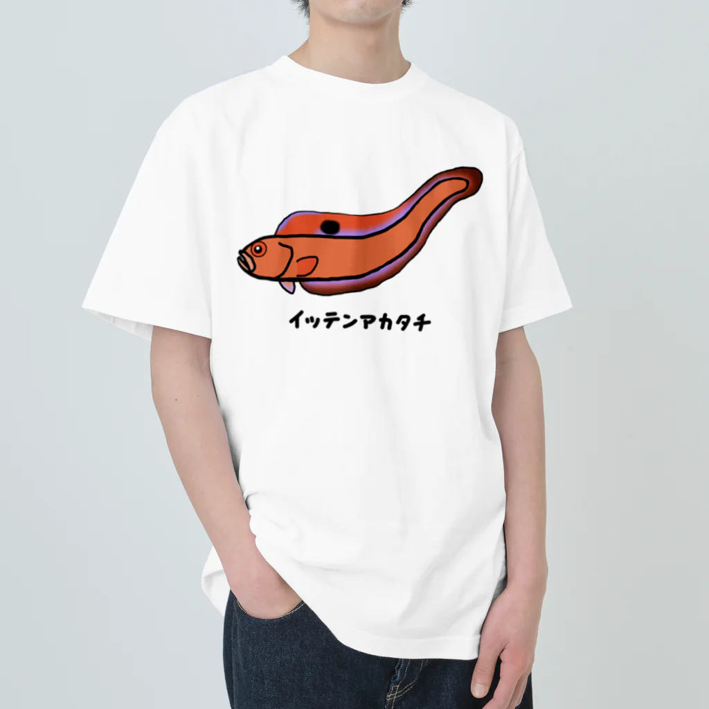 脂身通信Ｚの【魚シリーズ】イッテンアカタチ♪231103 Heavyweight T-Shirt