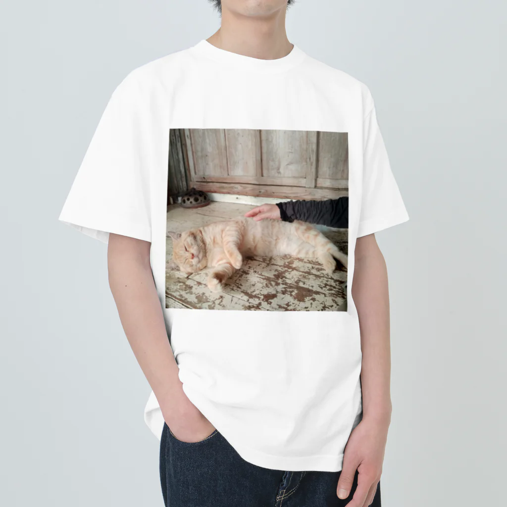 otorasannomiseのトラさんゴロリ写真グッズ Heavyweight T-Shirt