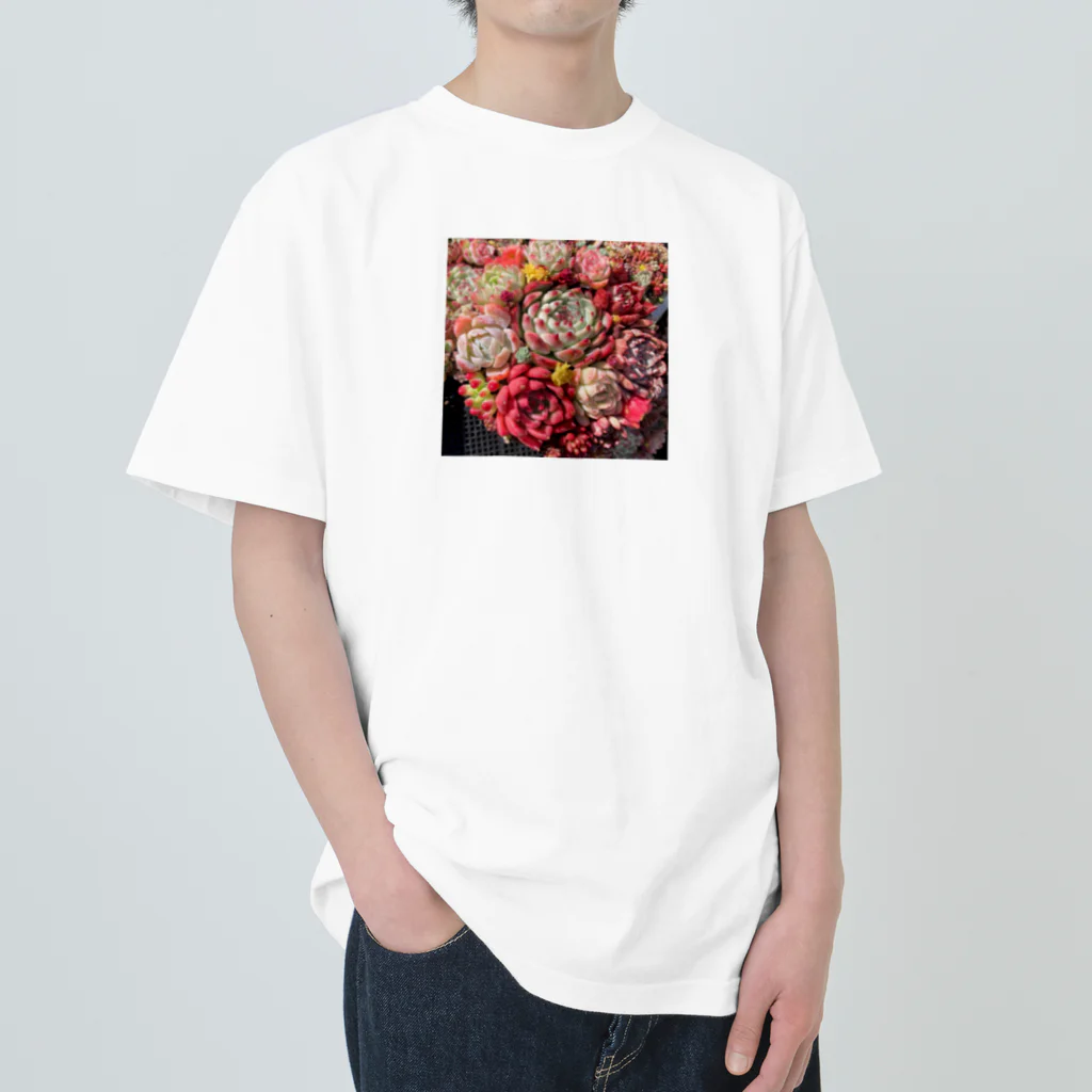 Echeveria_Masterの華やかなエケベリア ヘビーウェイトTシャツ