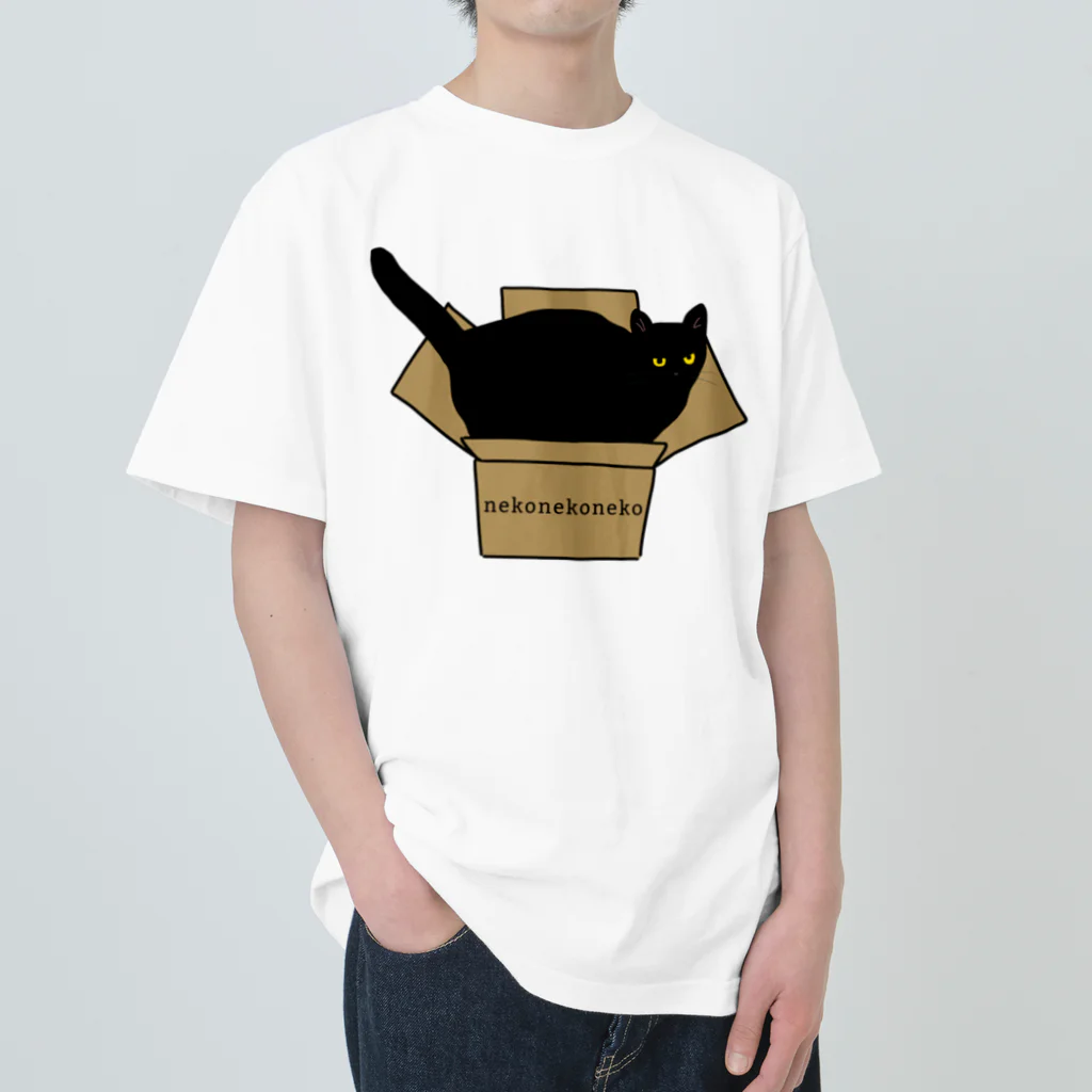 小鳥と映画館の黒猫と段ボール Heavyweight T-Shirt