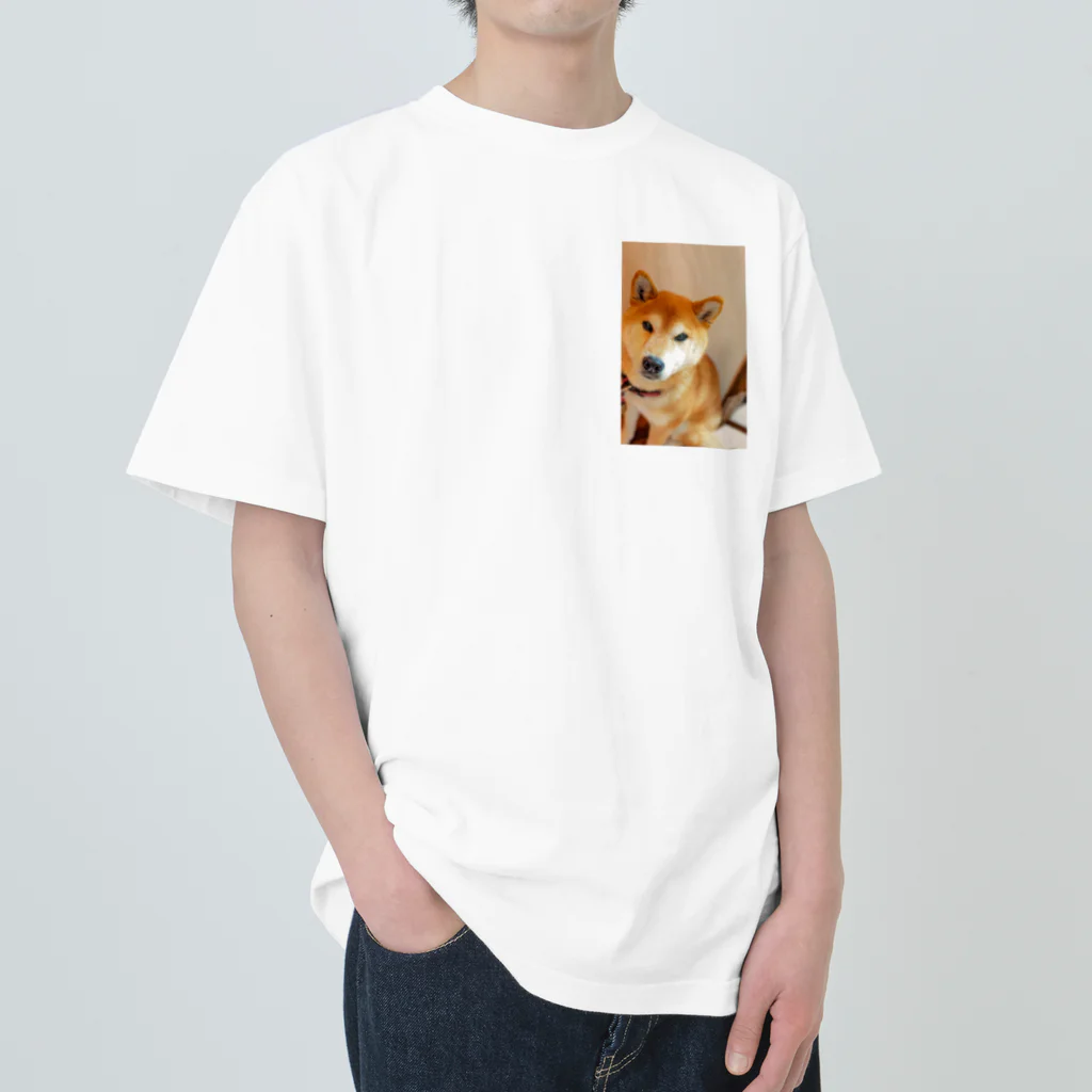 🕊🃏シミアン🦴🐕のおすましナイン君 Heavyweight T-Shirt