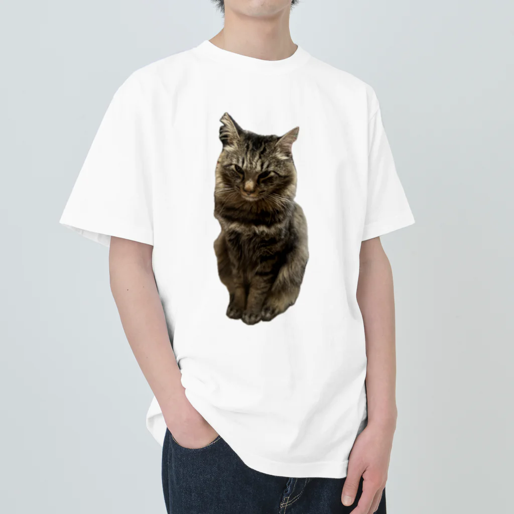 lovely-petsのつり目の雷くん Heavyweight T-Shirt