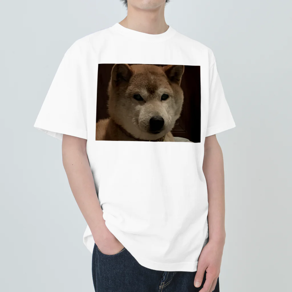 A_opal1のイッヌ🐶 ヘビーウェイトTシャツ