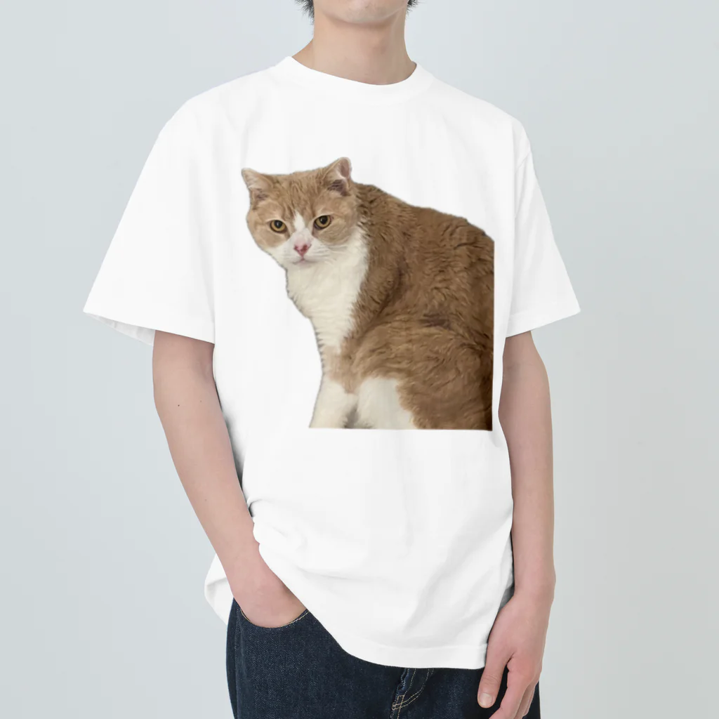 Mashlyのマシロくん猫グッズ ヘビーウェイトTシャツ