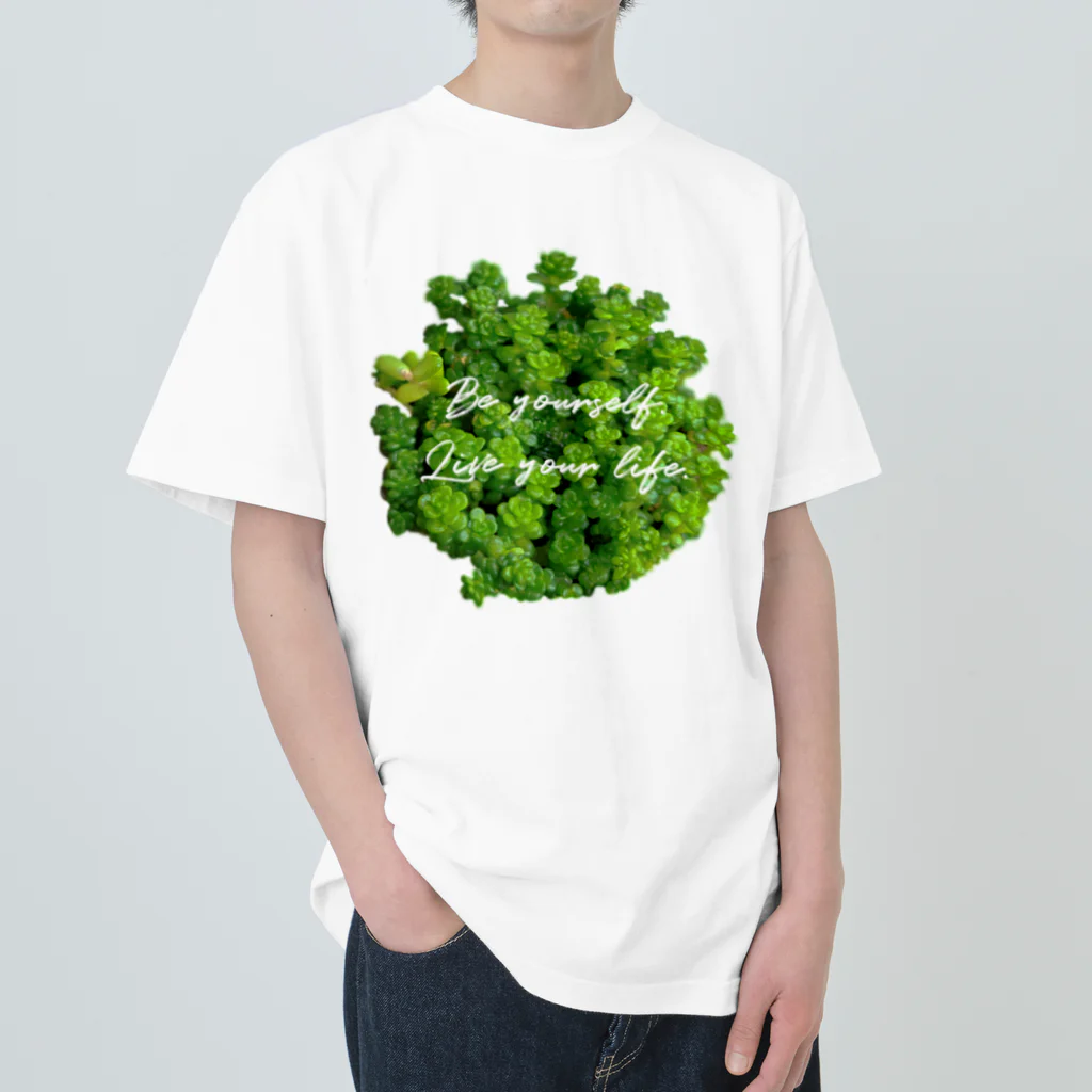 耀い気分の鮮やか多肉植物 ヘビーウェイトTシャツ