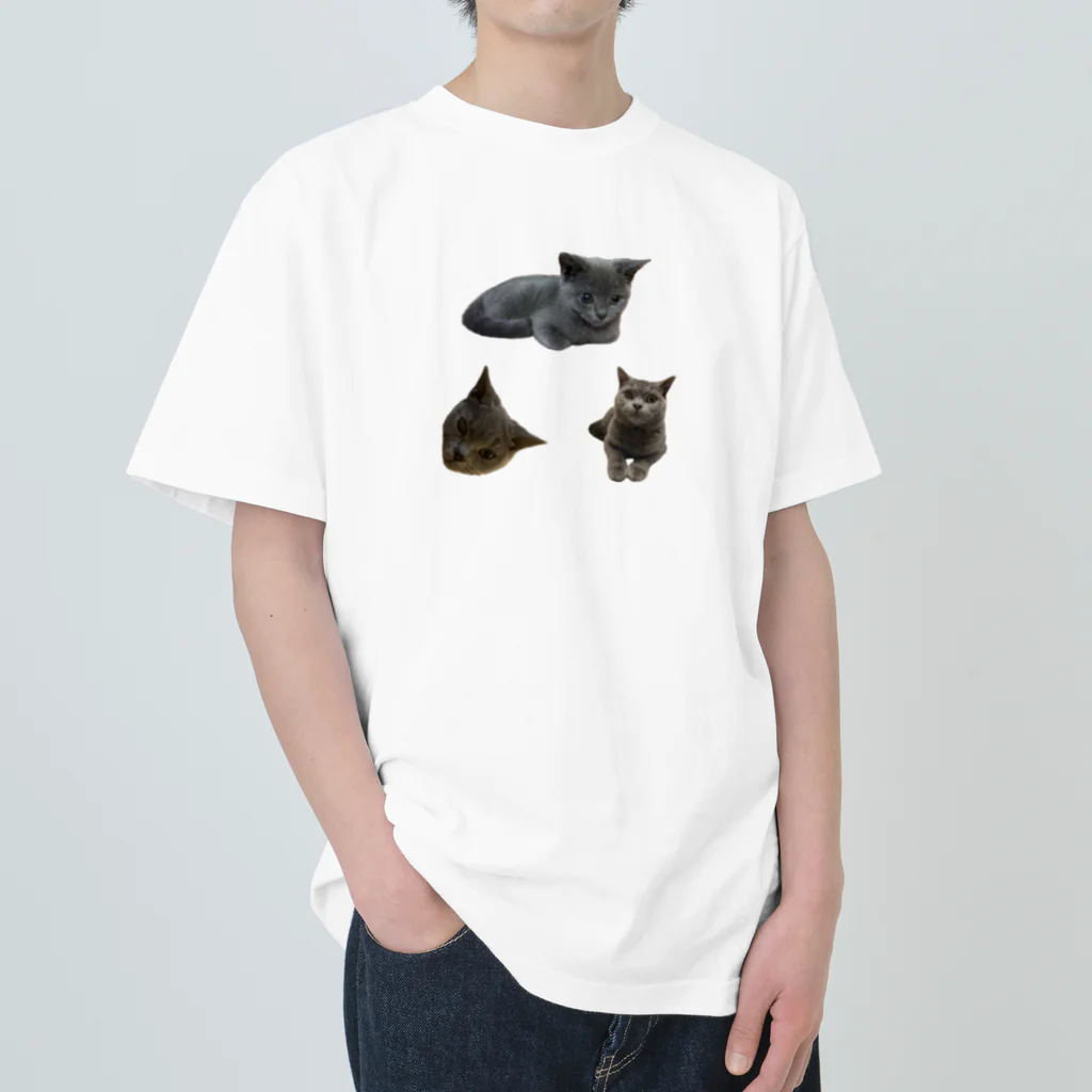 うちの猫ちゃんたちのるうなトライアングル♻️_No.1 Heavyweight T-Shirt