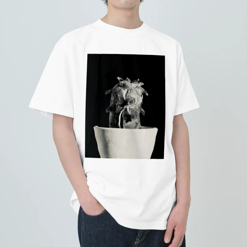 カケイプランツのアストロフィツム モンスト 綴化 Heavyweight T-Shirt