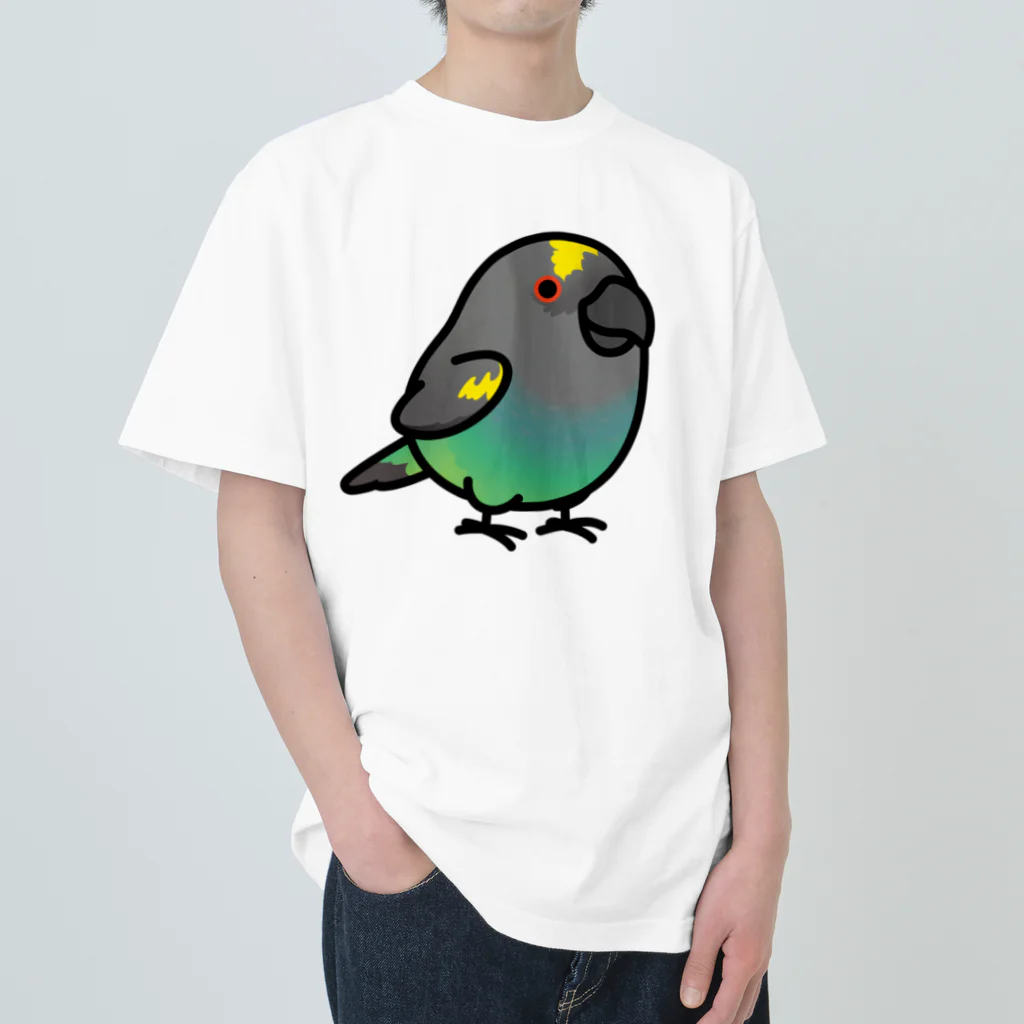 Cody the LovebirdのChubby Bird ムラクモインコ ヘビーウェイトTシャツ