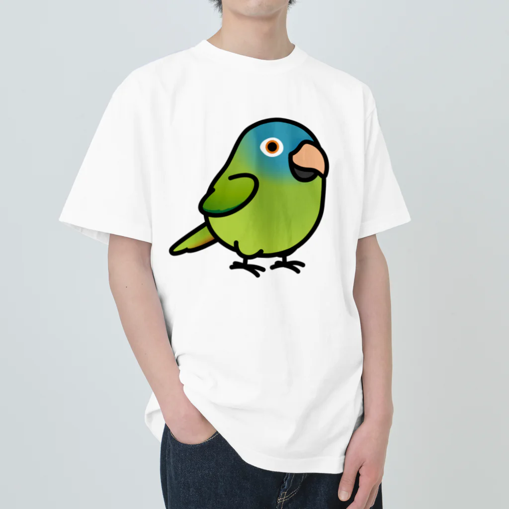 Cody the LovebirdのChubby Bird トガリオインコ Heavyweight T-Shirt