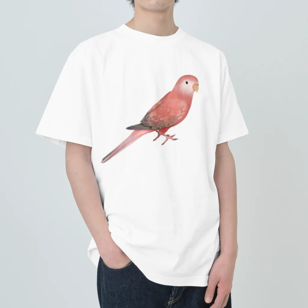 まめるりはことりのアキクサインコ　ピンク【まめるりはことり】 ヘビーウェイトTシャツ