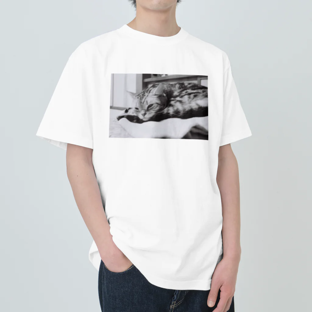 あんな日とか、こんな日とか。のPeter of the moment Heavyweight T-Shirt