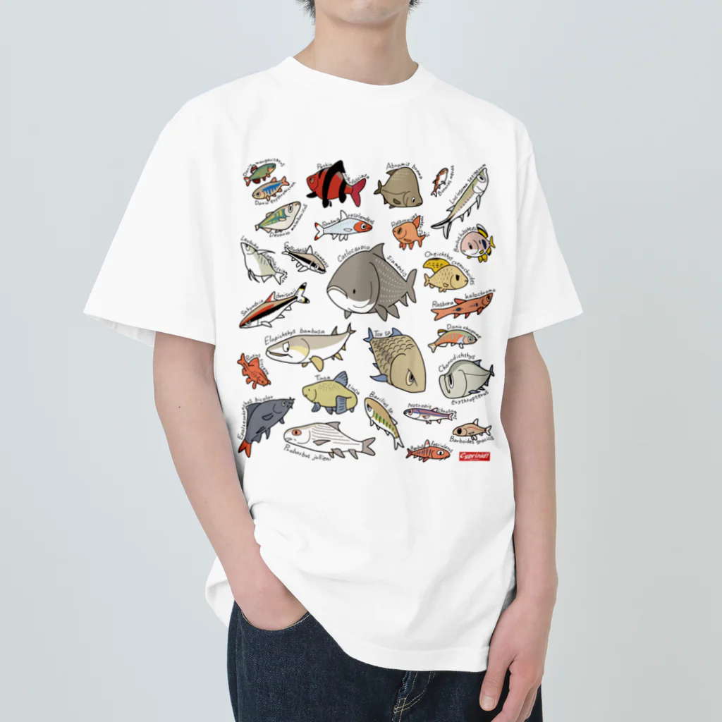 幻想水系branch　byいずもり・ようのVery Cyprinids!（international) ヘビーウェイトTシャツ