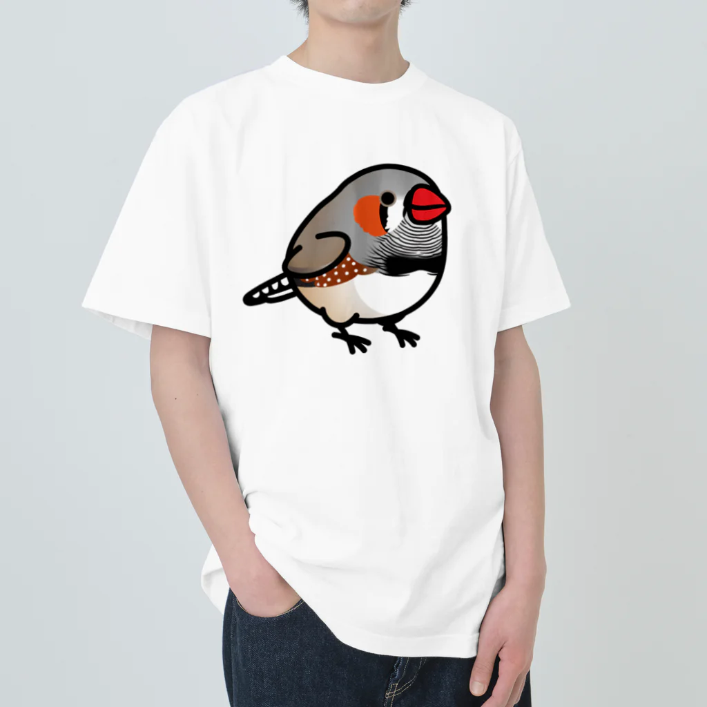 Cody the LovebirdのChubby Bird キンカチョウ ヘビーウェイトTシャツ