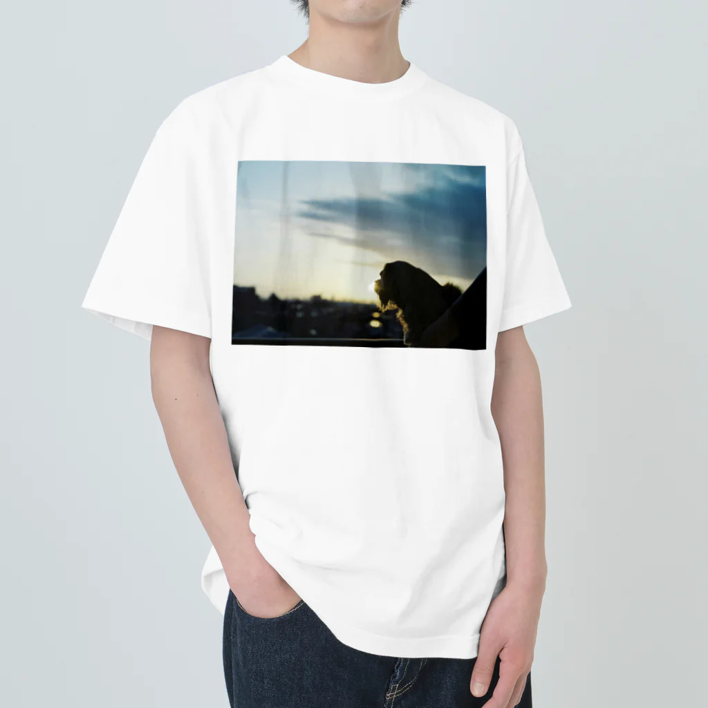 _ainalaend_の黄昏バロン　夕暮れ Heavyweight T-Shirt