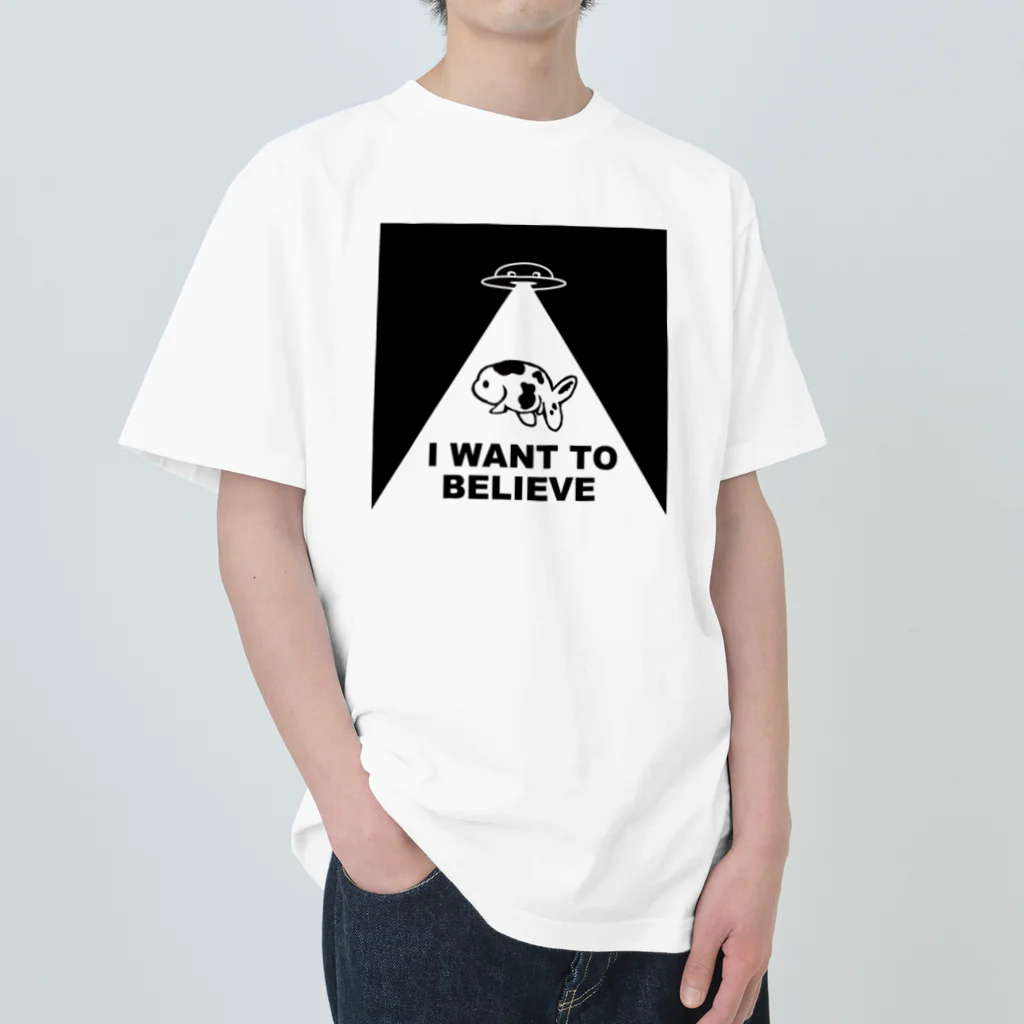 極光金魚展の極光金魚展（さらわれるやつ） Heavyweight T-Shirt