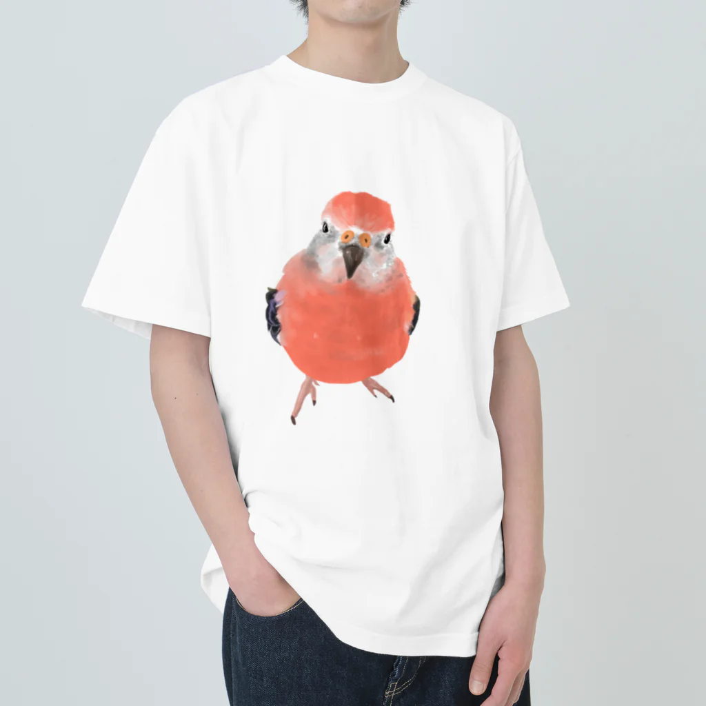 アキクサインコとウロコインコのアキクサインコ Heavyweight T-Shirt