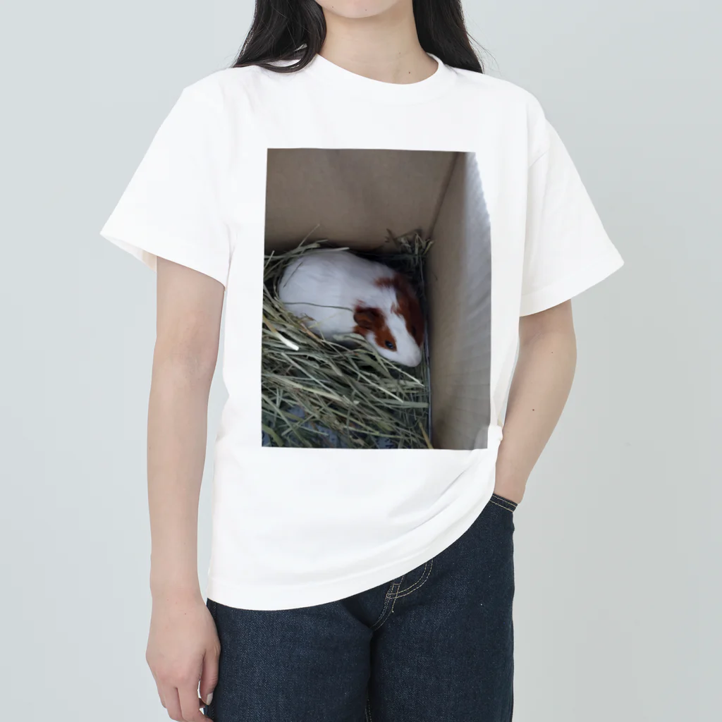 Milkoftheguineapigのモルモットのイヴさん Heavyweight T-Shirt