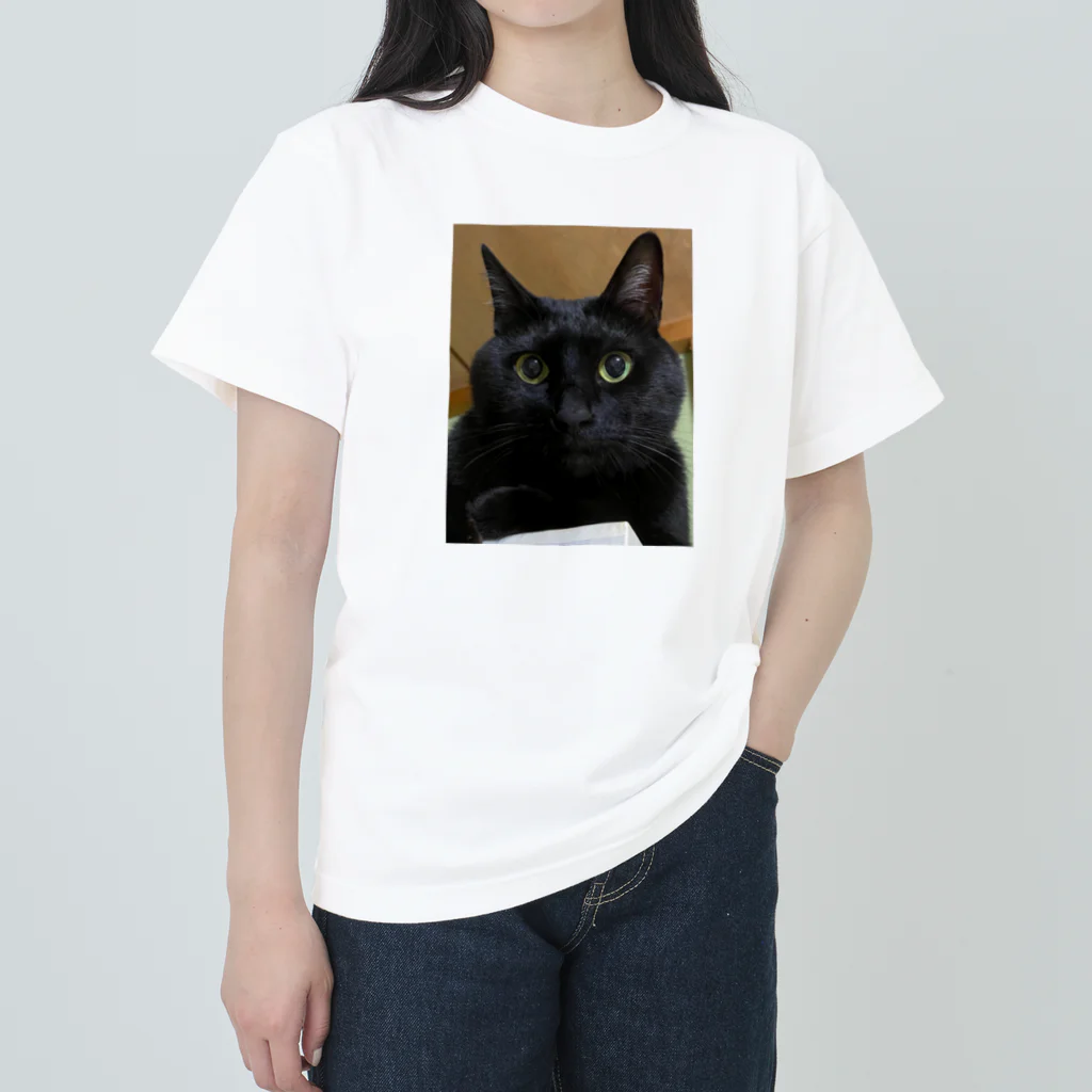 黒猫のひめちゃんの我が家のアイドルひめ ヘビーウェイトTシャツ