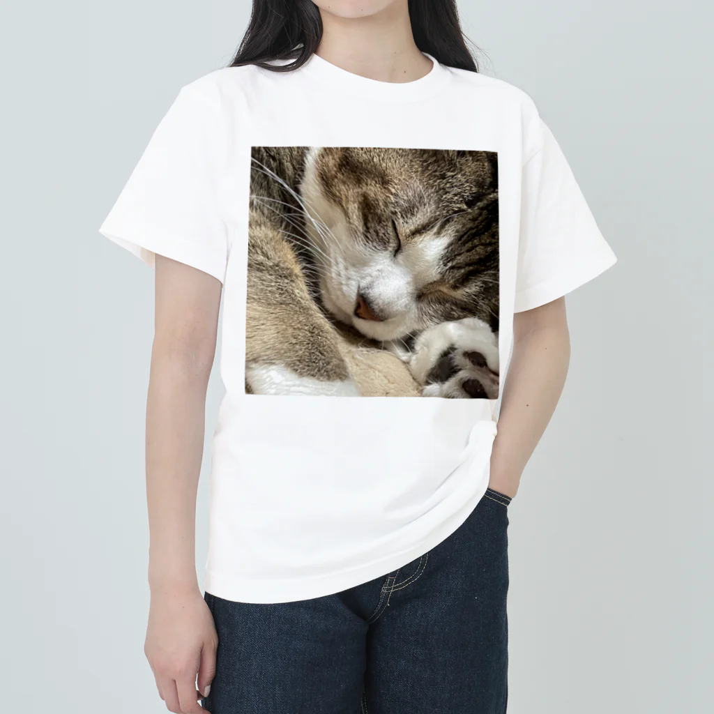 あゆのしおやきの猫(キジシロ) ヘビーウェイトTシャツ