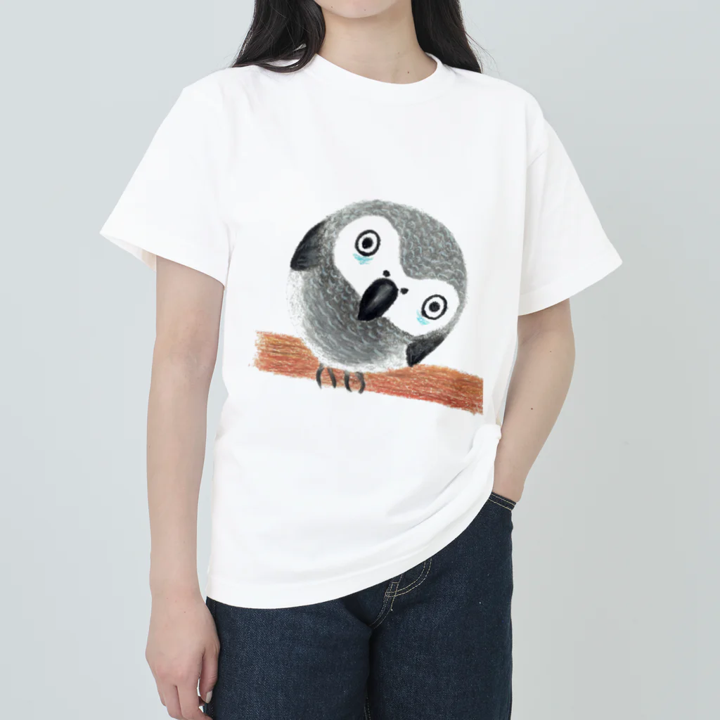 みつぞno鳥絵店の見上げるヨウム ヘビーウェイトTシャツ