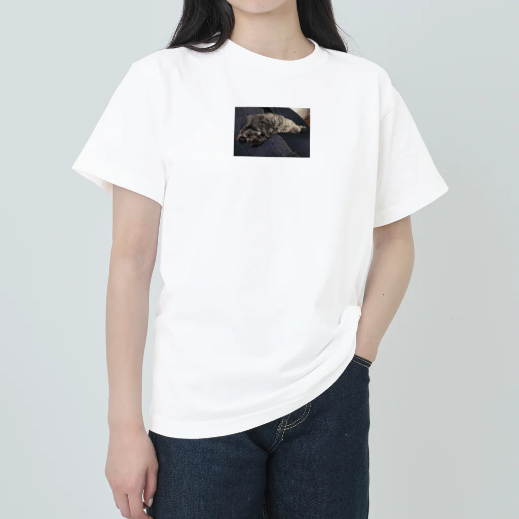 おっぽ君のダメになった犬 Heavyweight T-Shirt