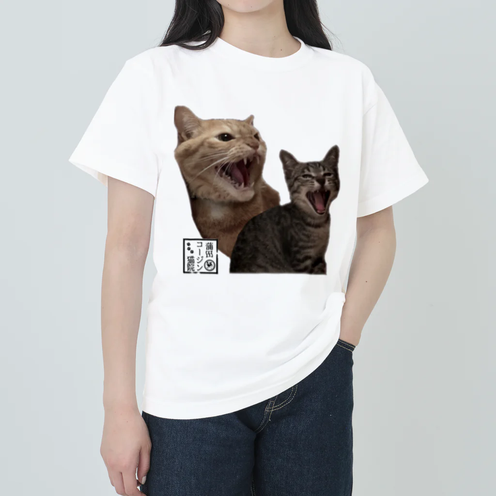 蒲田コージン猫院🐈‍⬛心霊内科👼のリアル副助手's ヘビーウェイトTシャツ