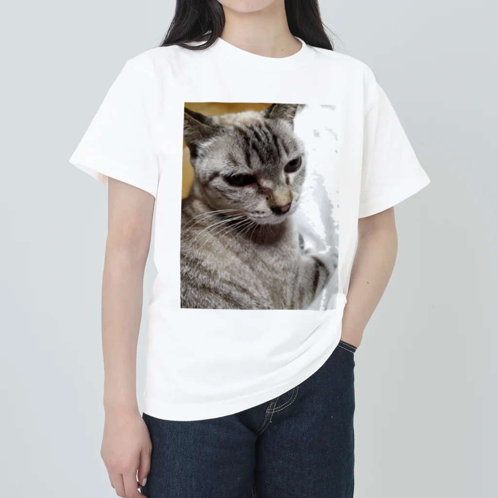 ねこの森でお散歩のさあ、モフりなさいよ。 Heavyweight T-Shirt