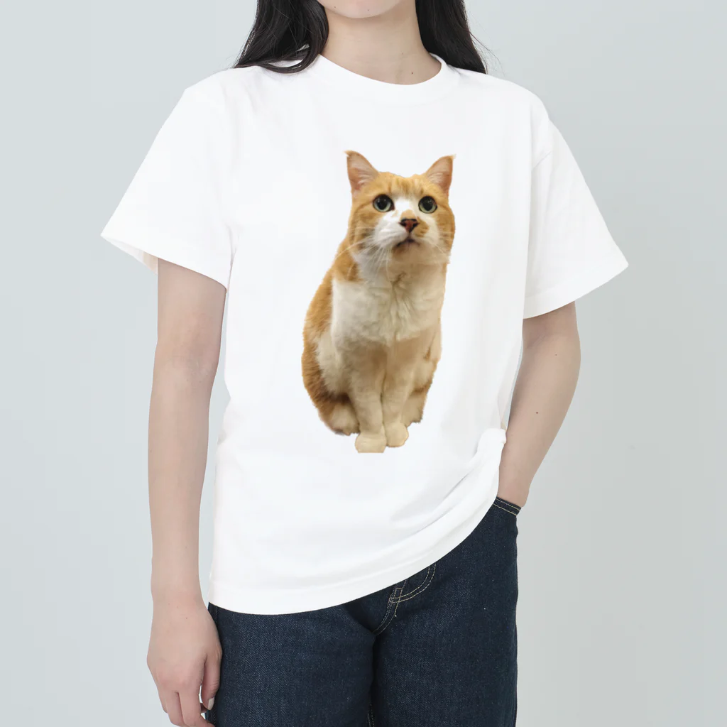 amikiの猫ちゃん ヘビーウェイトTシャツ