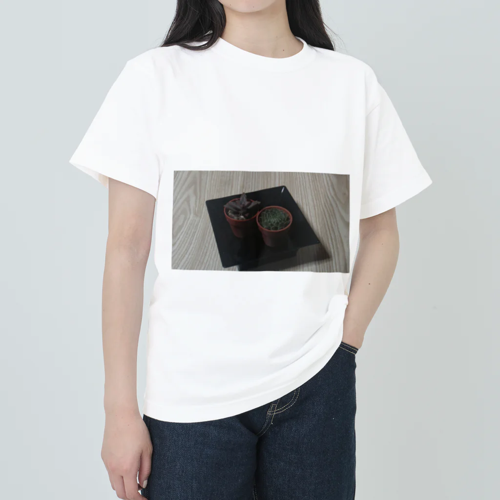 迷い猫の溜まり場のさぼてん Heavyweight T-Shirt