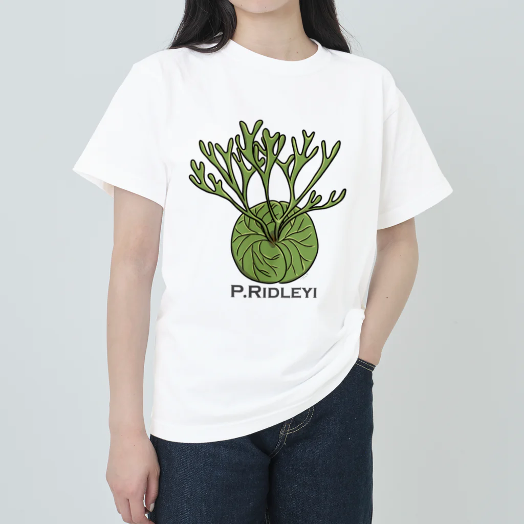 PLANTs　-プランツ-の「リドレE-2」 ヘビーウェイトTシャツ