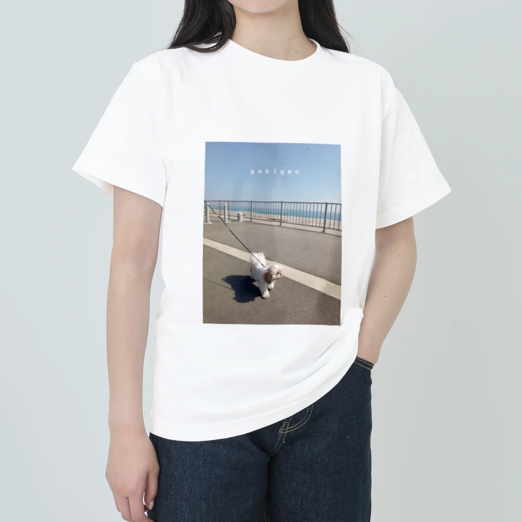 𝘢𝘬𝘢𝘯𝘦のｇｏｋｉｇｅｎ　ｏｓａｎｐｏ Heavyweight T-Shirt