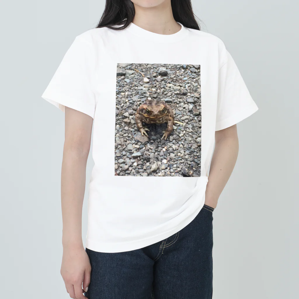 shirankedo_46のカエル Heavyweight T-Shirt