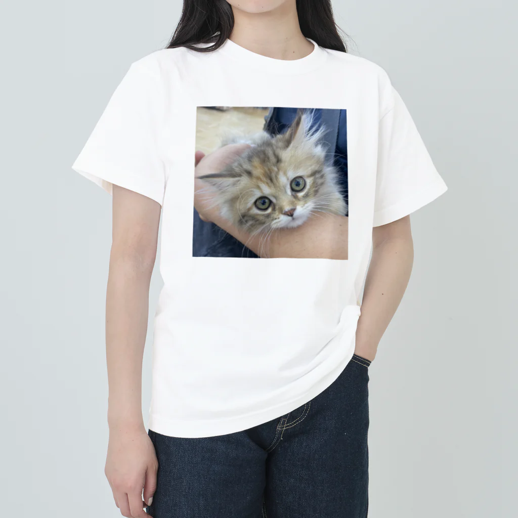 にゃんこの「めめたん」グッズのりんりん ヘビーウェイトTシャツ