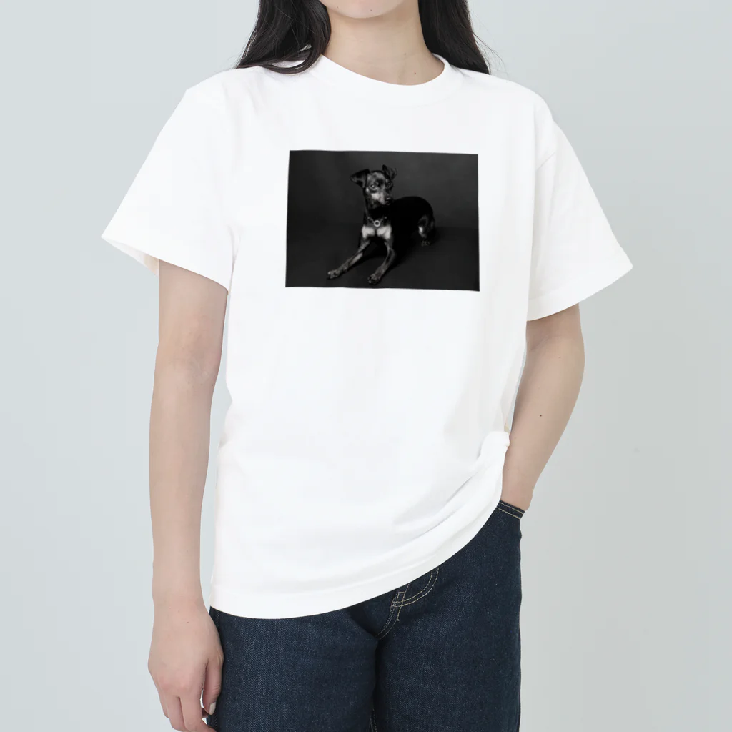 roger_4kgのROGER_Ver.1 ヘビーウェイトTシャツ