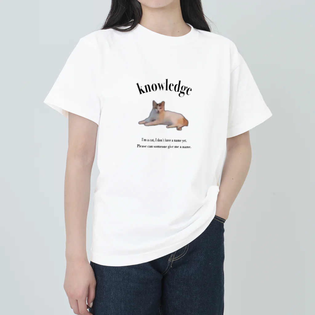 knowledgeのI don't have a name yet. ヘビーウェイトTシャツ