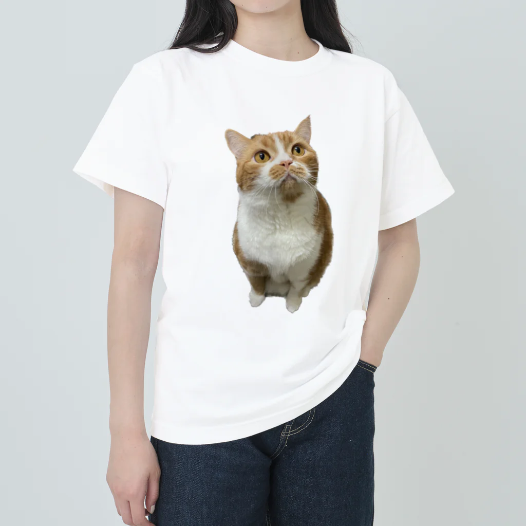 robi_hakuのまるまるロビンくん Heavyweight T-Shirt