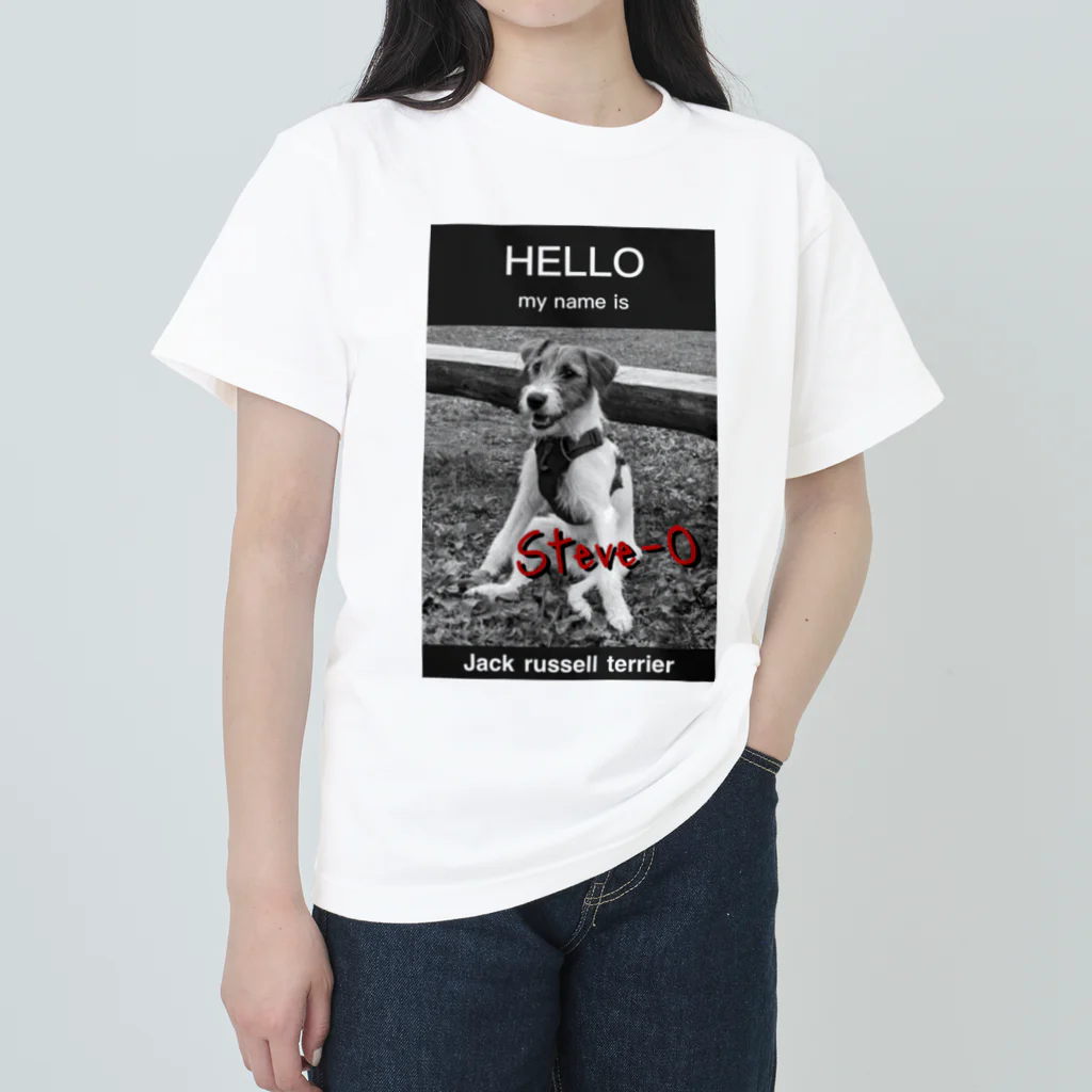 StekeyのMy name is Steve-O Heavyweight T-Shirt