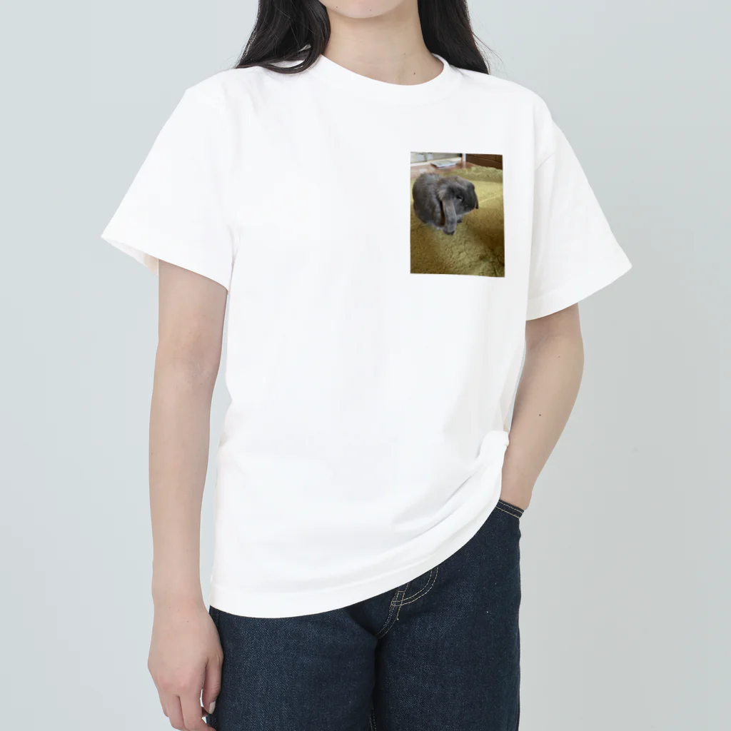 ソラショップのモコ君 Heavyweight T-Shirt