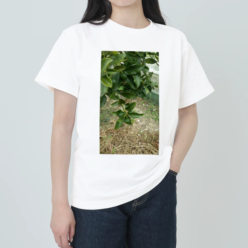 seikonisikooriの緑金柑の実 ヘビーウェイトTシャツ