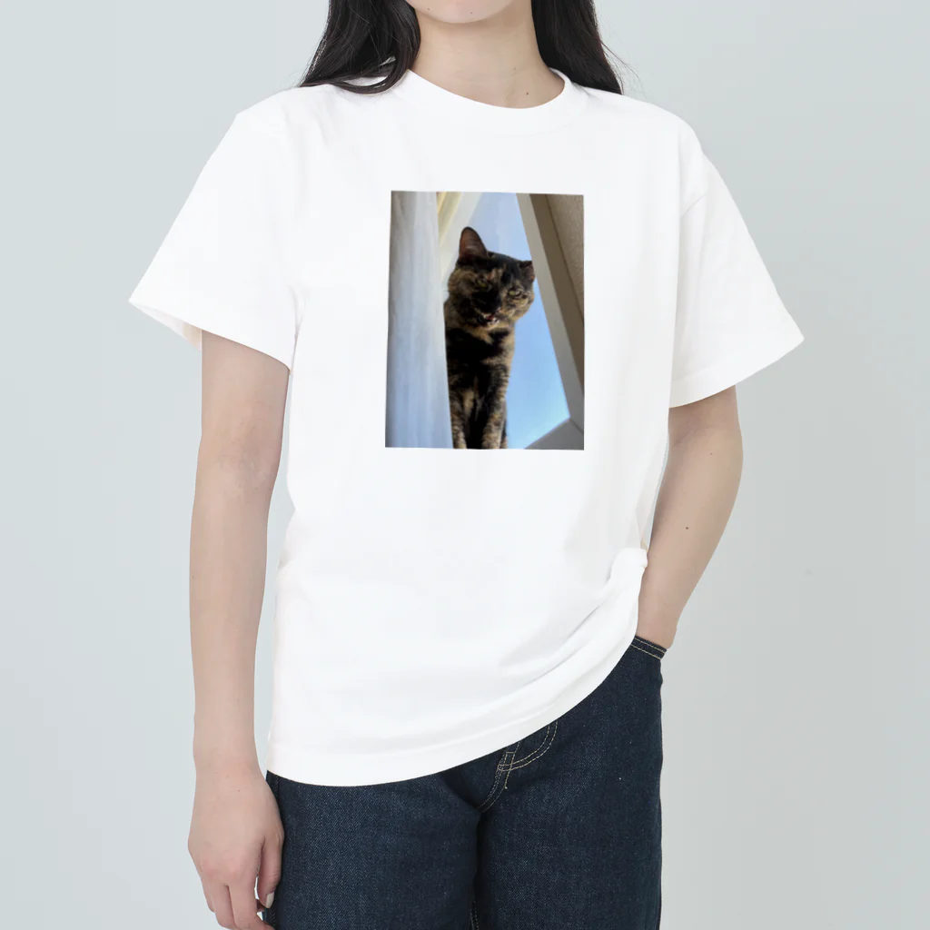 燕麦のｶﾞｵ~ｯ Heavyweight T-Shirt