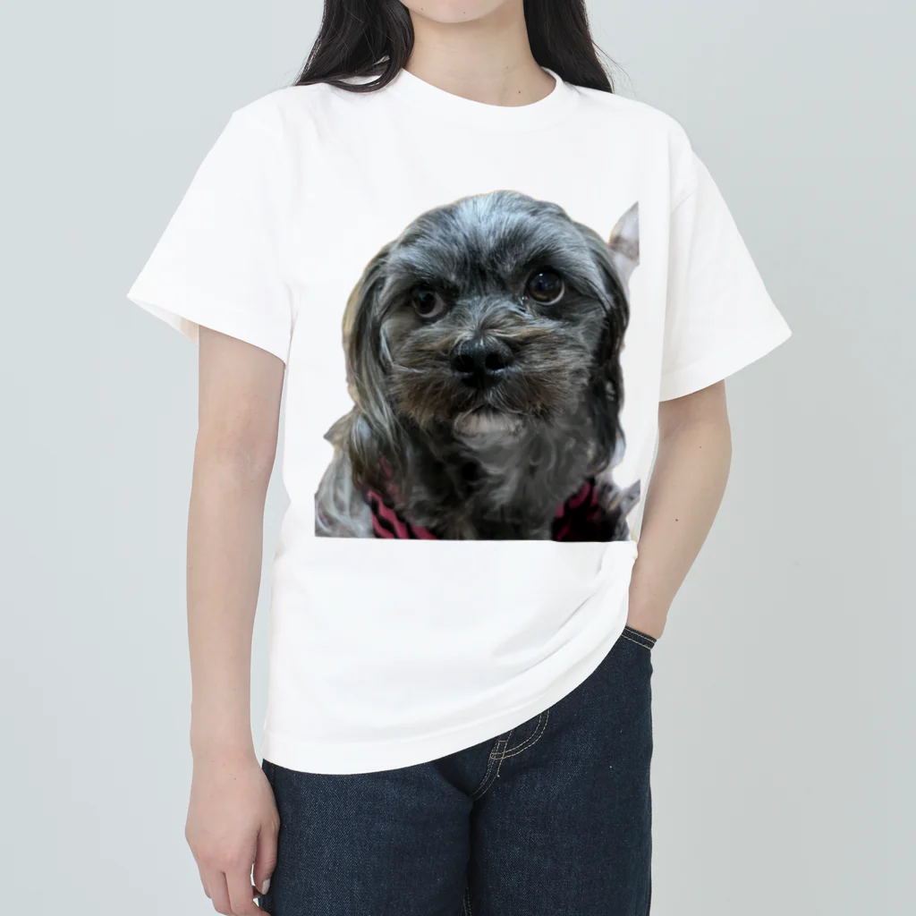 みたらし団子のふたたまちゃんの可愛いわんちゃん ヘビーウェイトTシャツ