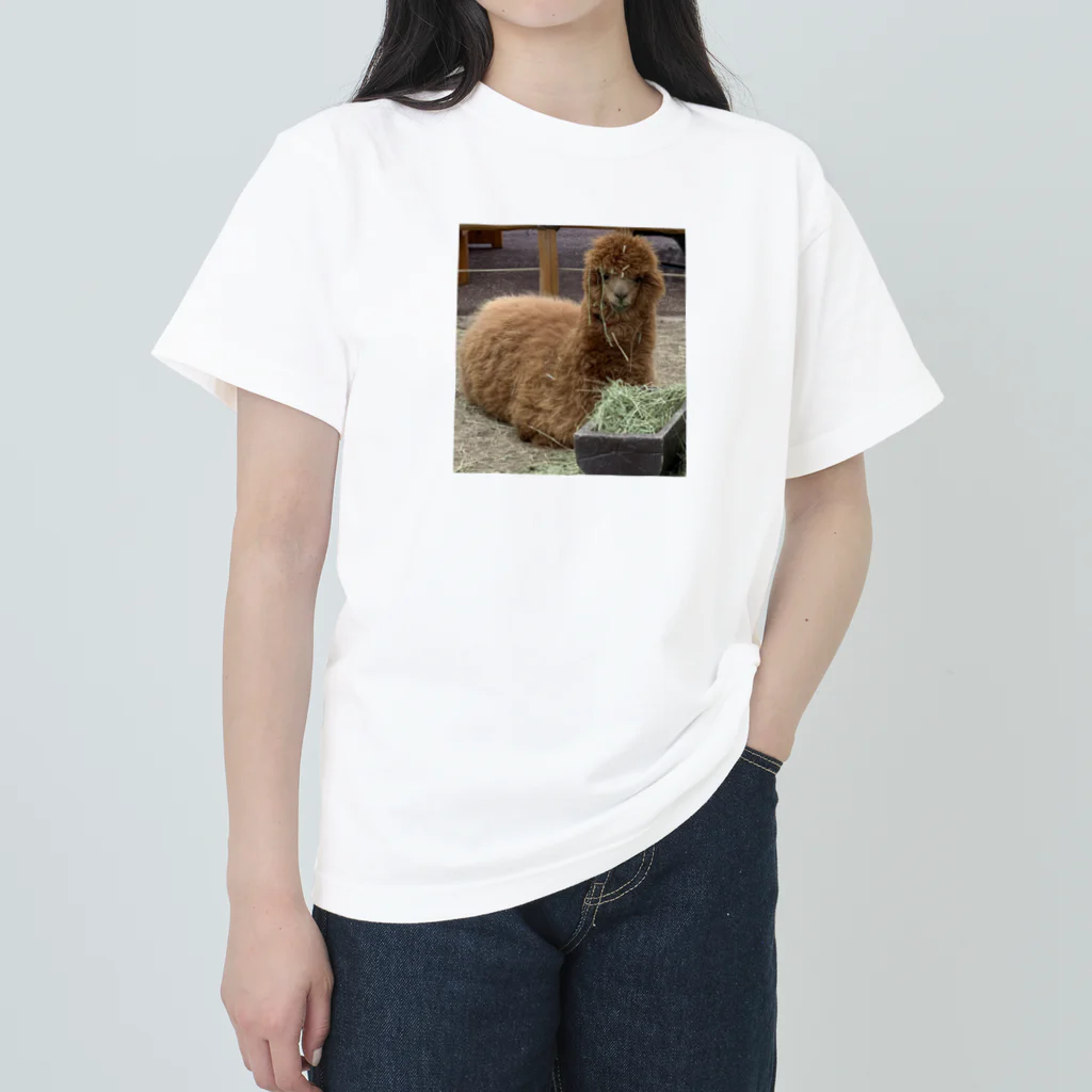 玉手箱のアルパカランチ Heavyweight T-Shirt