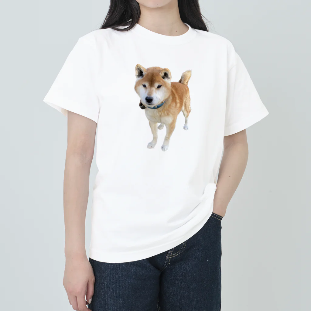 高速道路屋さんのツリ目犬 Heavyweight T-Shirt