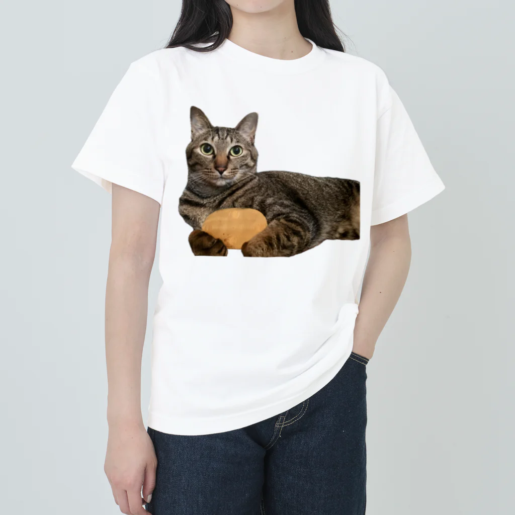 オレはニャン蔵の『猫に小判』オレはニャン蔵 ヘビーウェイトTシャツ