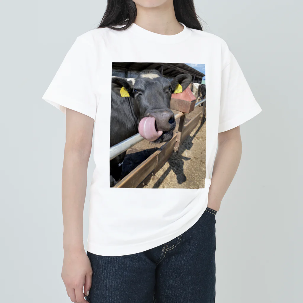 ドリームスケープギャラリーのバカな子ほどかわいい ヘビーウェイトTシャツ