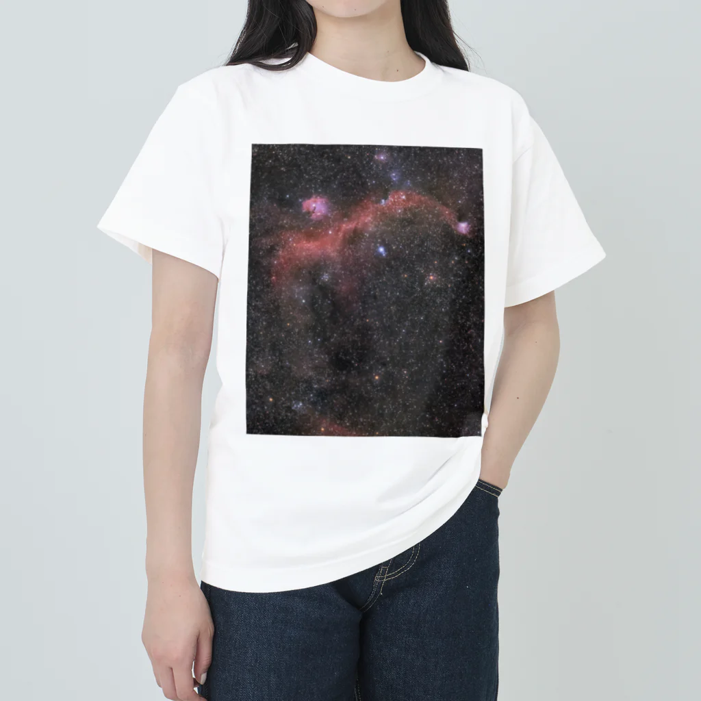 S204_Nanaのカモメ星雲 ヘビーウェイトTシャツ