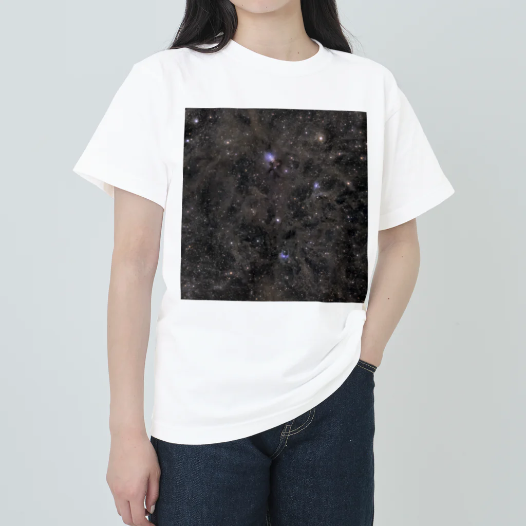 S204_NanaのNGC1333 ヘビーウェイトTシャツ