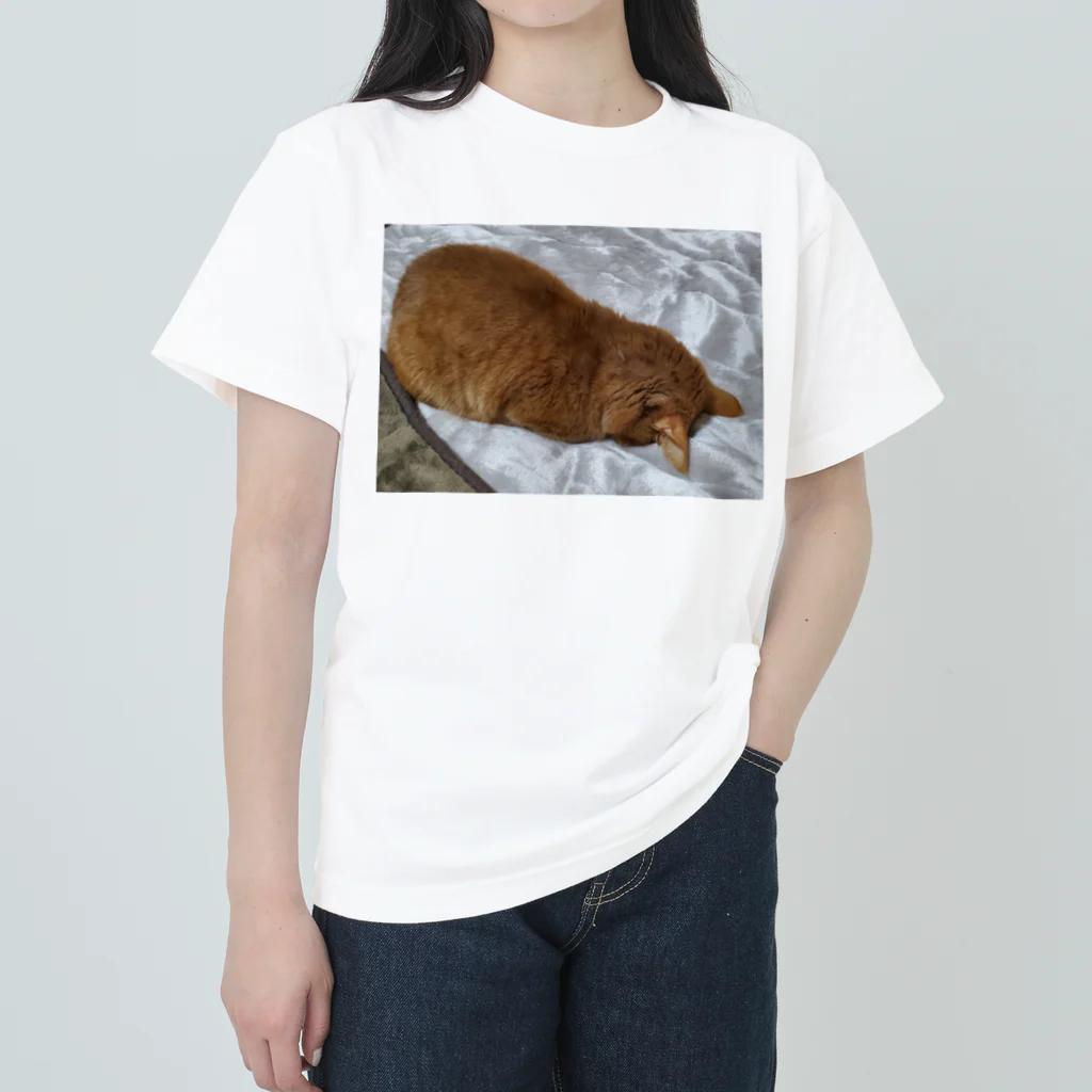 汰真の茶々のごめん寝中の姿です✨ ヘビーウェイトTシャツ