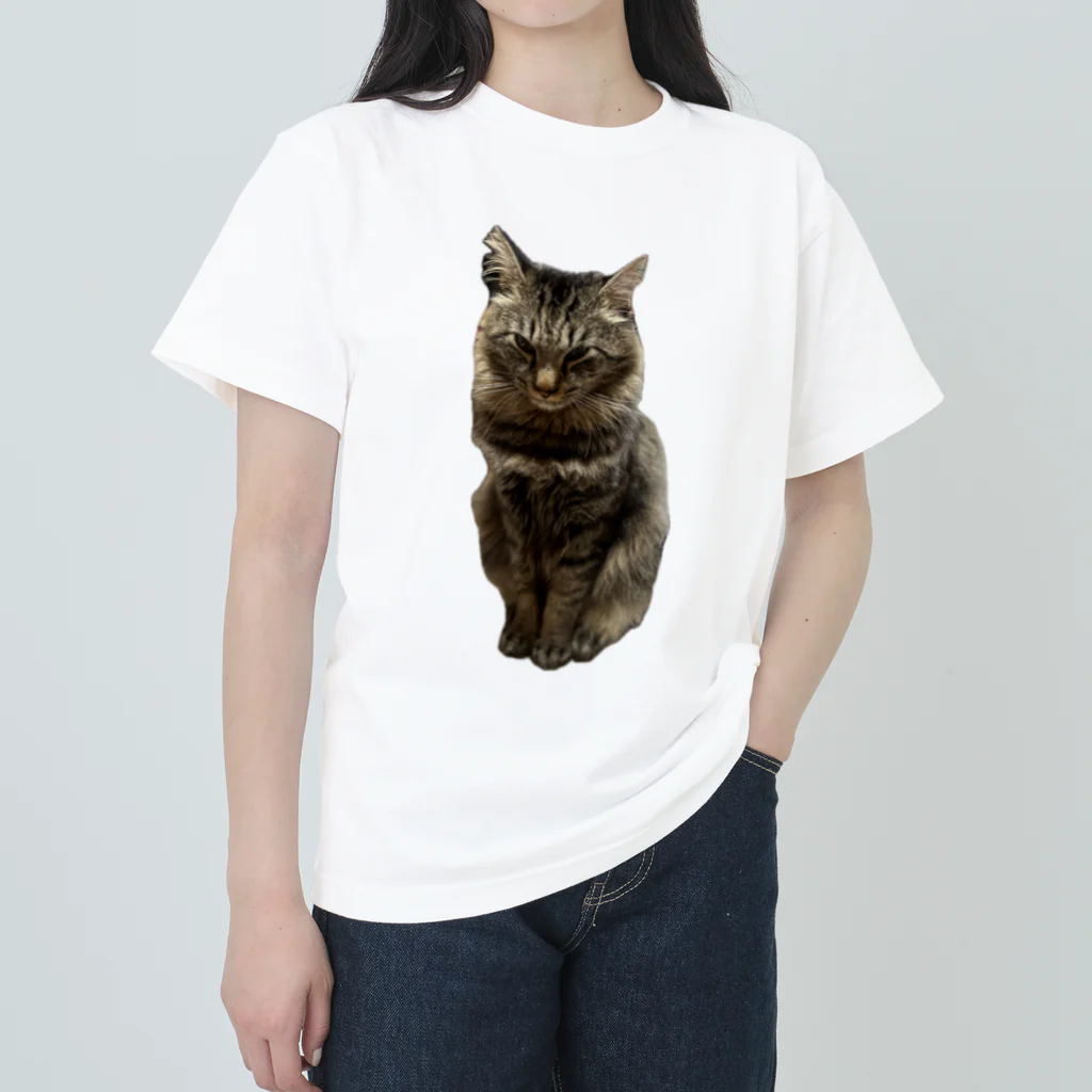 lovely-petsのつり目の雷くん Heavyweight T-Shirt