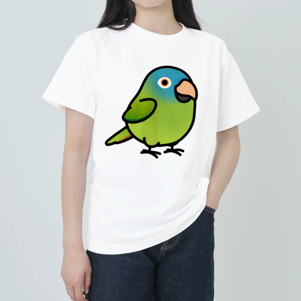 Cody the LovebirdのChubby Bird トガリオインコ Heavyweight T-Shirt